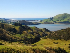 Otago peninsular